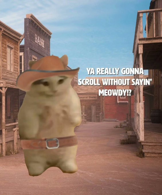 Ya really gonna scroll without sayin meowdy