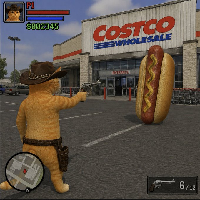 Cowboy Cat facing a hot dog at Costco